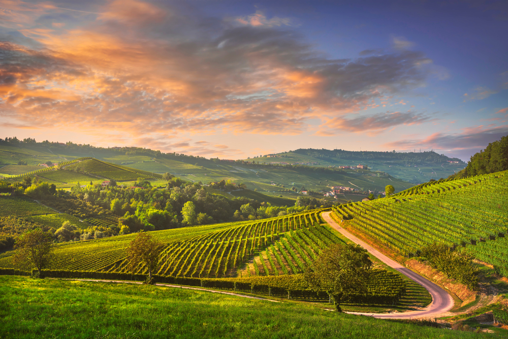 Met de vespa door Toscane 1 Chianti wijnregio
