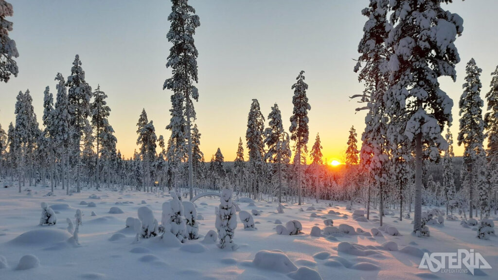 Authentiek Lapland | Shortbreak 1 Fins lapland