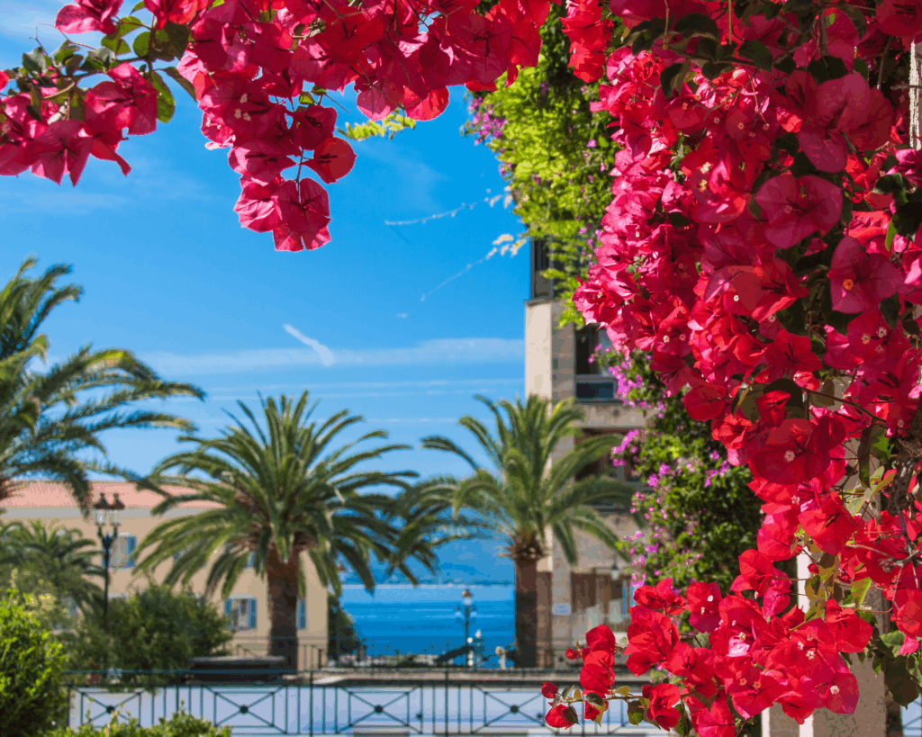 Ajaccio