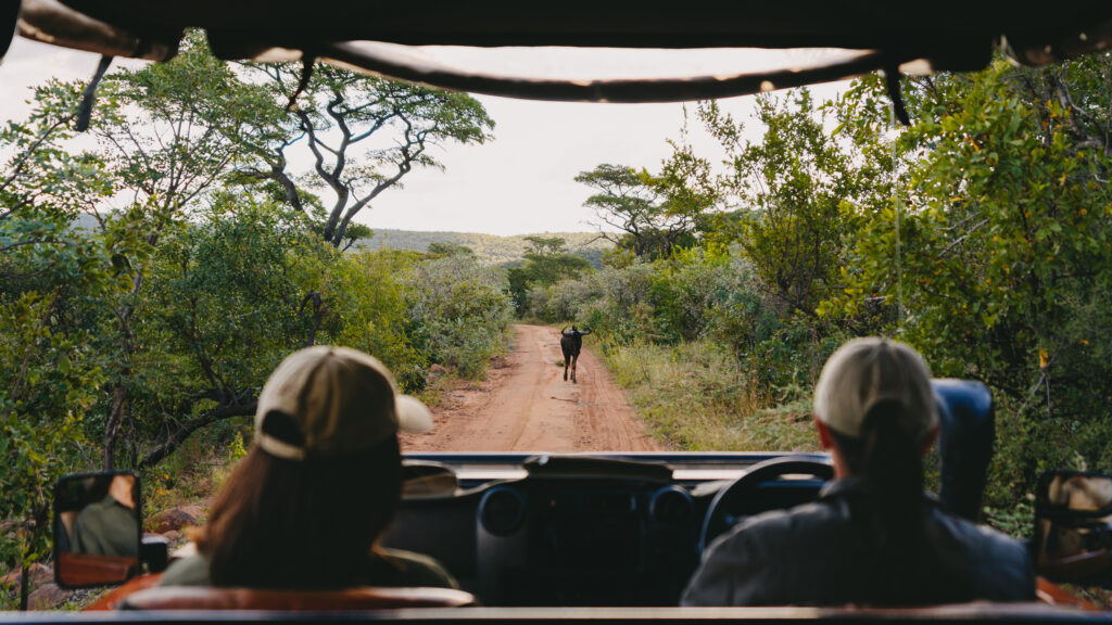 LALUKA Safari Lodge 04 2024 07043