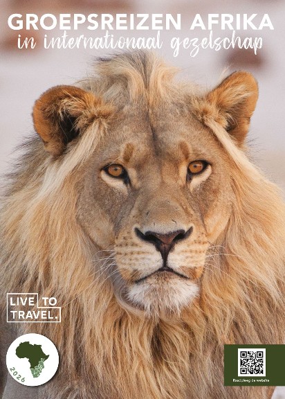 Live to travel groepsreizen Afrika