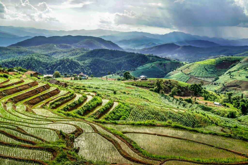 david gardiner VSZCFZ0avo unsplash scaled 1