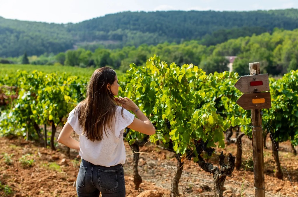 chateau de berne wijngaard