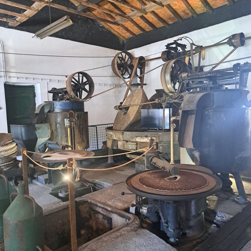 Olijfoliemuseum Marvao Olijfoliemuseum Marvao